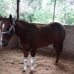 Meet your Posher, Martin